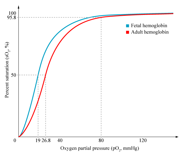 File:Haemoglobin comparison oxygen saturation curve.png
