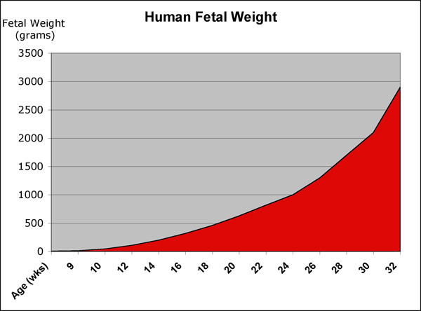 Fetal Origins