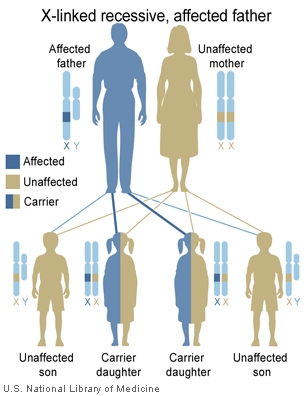 File:X-Linked recessive (affected father).jpg
