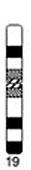 File:Human idiogram-chromosome 19.jpg