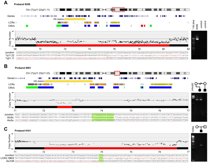 Breakpoint identification in individuals with deletions in the WS region and atypical phenotypes.jpg