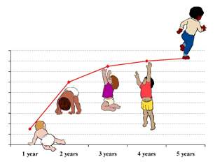 WHO report- child growth standards.jpg