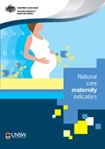 National core maternity indicators 2013.jpg