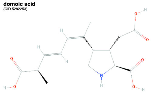 File:Domoic acid.jpg