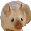 The mouse-The most popular used animal model. Existing website image.