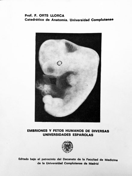 File:Orts Llorca Madrid embryo catalogue.jpg