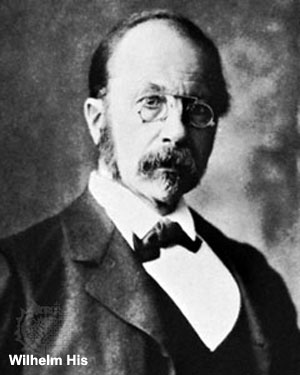 Wilhelm His