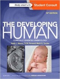 The Developing Human, 10th edn