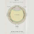 The eye according to Rufus of Ephesus. Credits: Magnus, 1901. Note the lens is placed in the correct position, behind the iris of the eye
