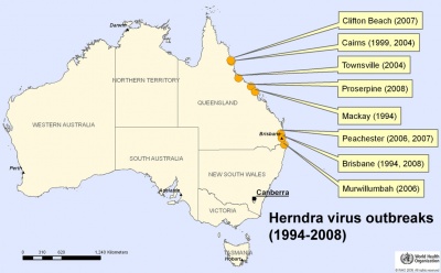 Hendra Virus July 2012