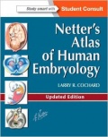Netter's atlas of human embryology.jpg