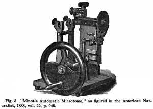 Minot microtome (1888)