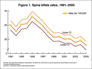 USA spina bifida rates