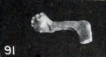 Fig. 91. Left hand, which is club-shaped, from No. 230, a fetus compressus 57 mm. CR. X0.75.