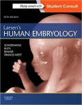Larsen's human embryology 5th edn