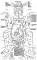 Fig. 3. Situs figure from the Fasciculus medicinse (1491). After the facsimile published by K. Sudhoff and C. Singer, Milan, p. 10, 1924