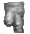 Fig. 333. The same model seen from the left side.