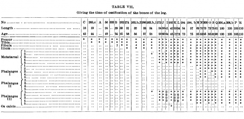 Table VII. Giving the Times of Ossification of the Bones of the Leg