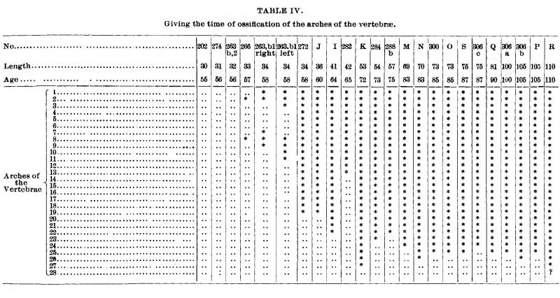Table IV Giving the Times of Ossification of the Arches of the Vertebrae