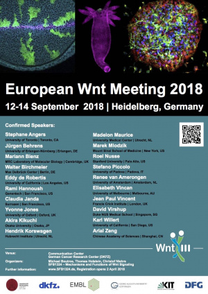 European Wnt Meeting Sep2018