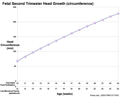 Fetal head growth circumference graph02.jpg