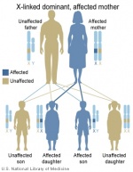 Maternal X-Linked dominant (affected mother)