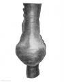 Fig. 332. Lung anlage of an embryo of 4.25 mm. vertex-breech measurement, from the ventral side.