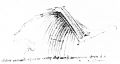 Fig. 89. Dissection of a bird’s wing. (QIV, 1.)