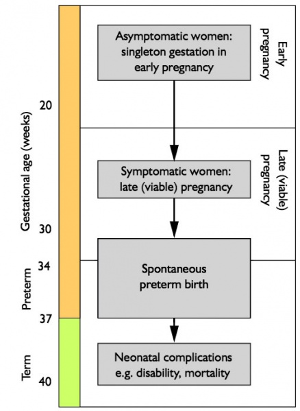 File:Preterm birth screening.jpg