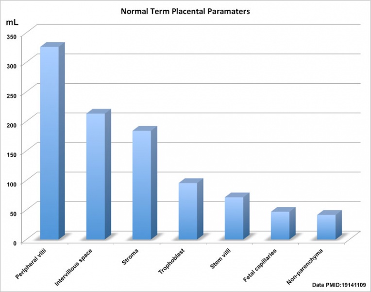 File:Placental volume graph.jpg