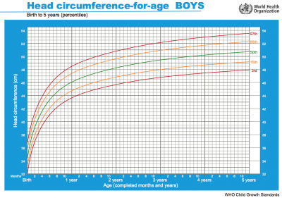 WHO chart - boys head birth to 5 years.png