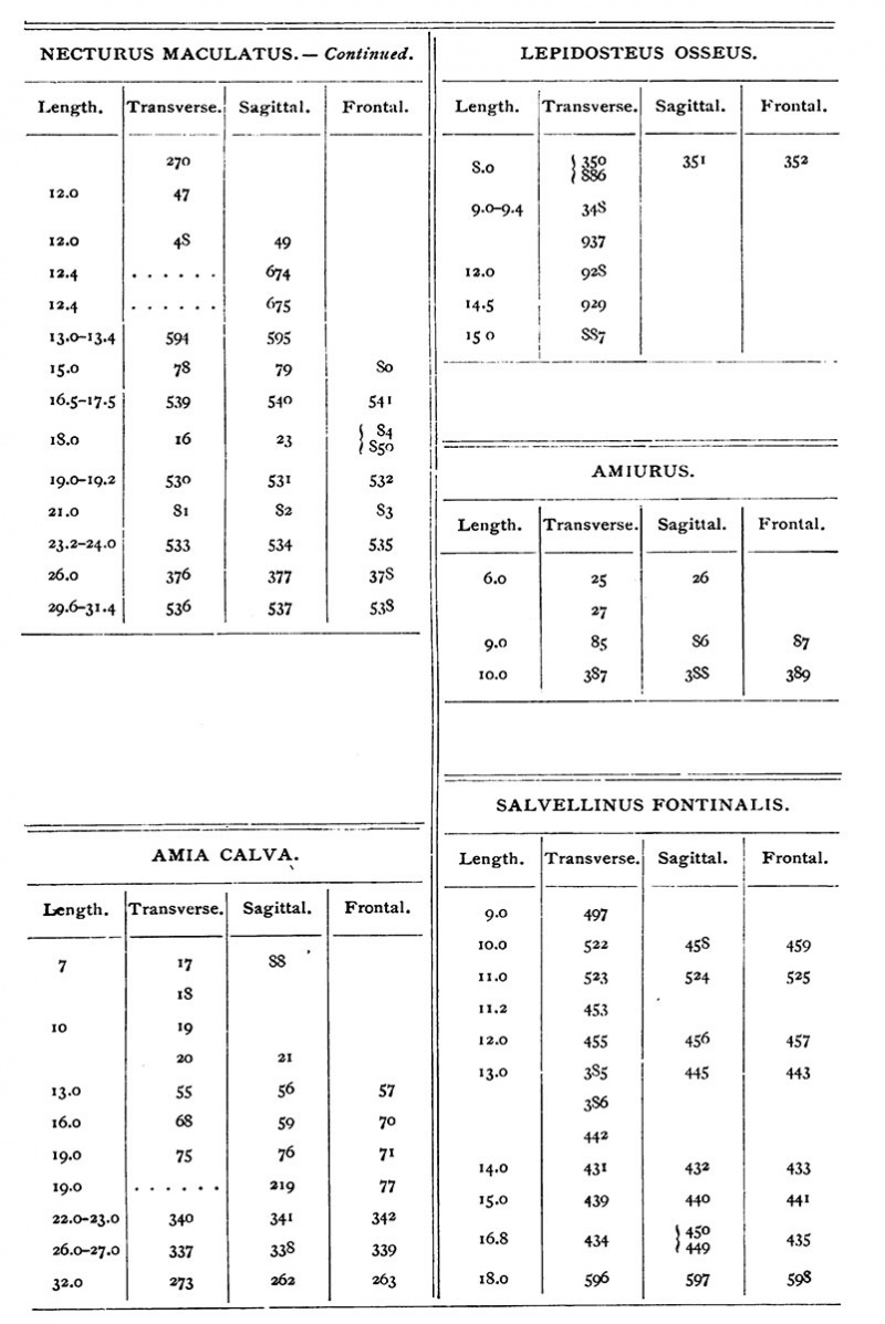 Harvard collection table 06.jpg