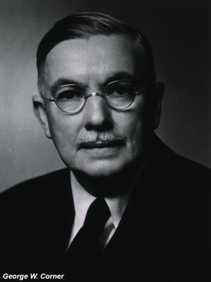 George W Corner (1889 - 1981)