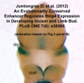 Thumbnail for version as of 13:01, 14 June 2012