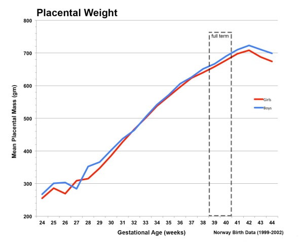 Placental mean weight graph01.jpg