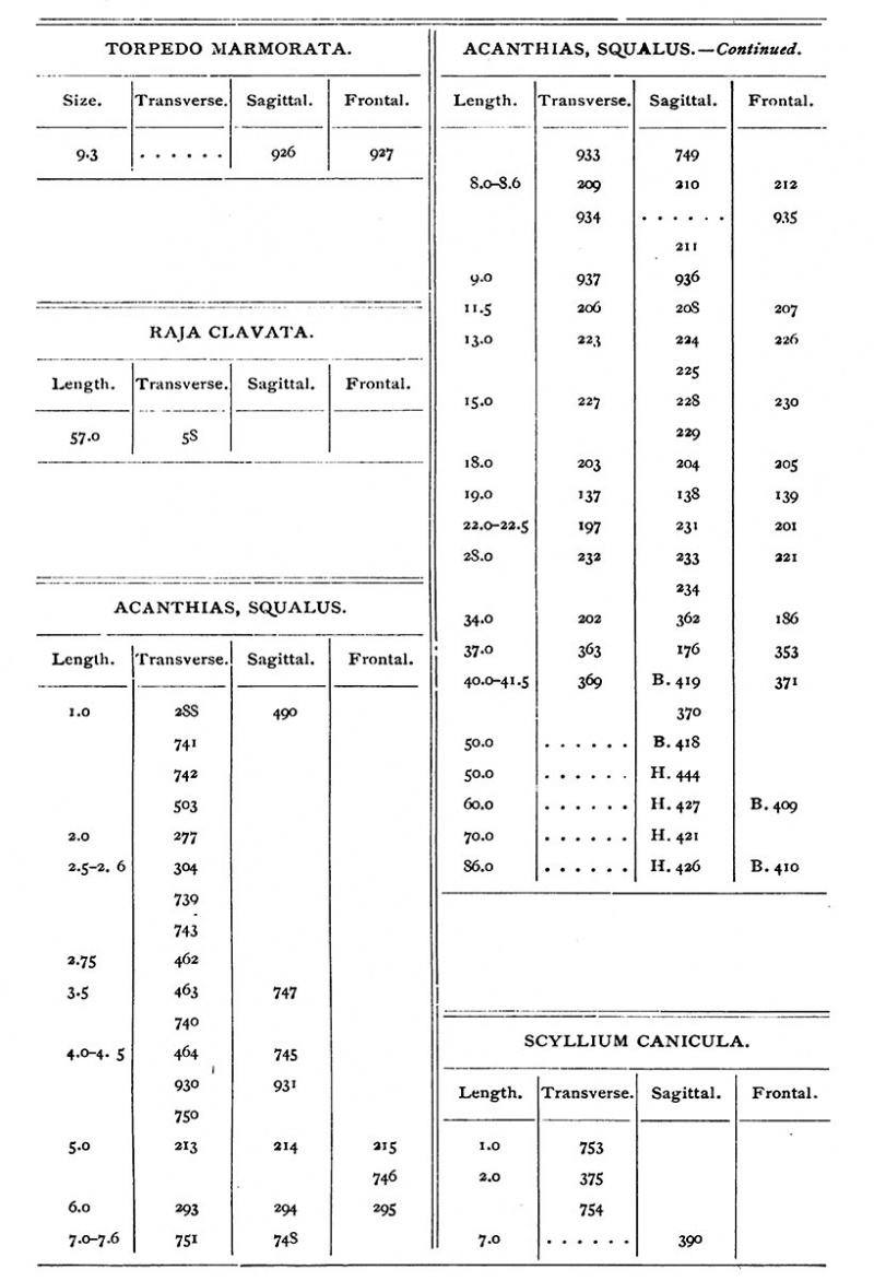 Harvard collection table 08.jpg