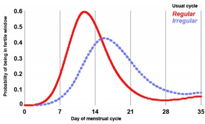 Menstrual cycle fertility probability 01.jpg