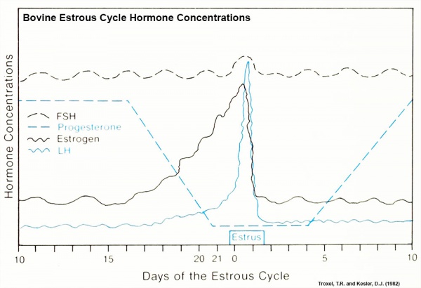 Bovine estrous cycle hormone graph.jpg